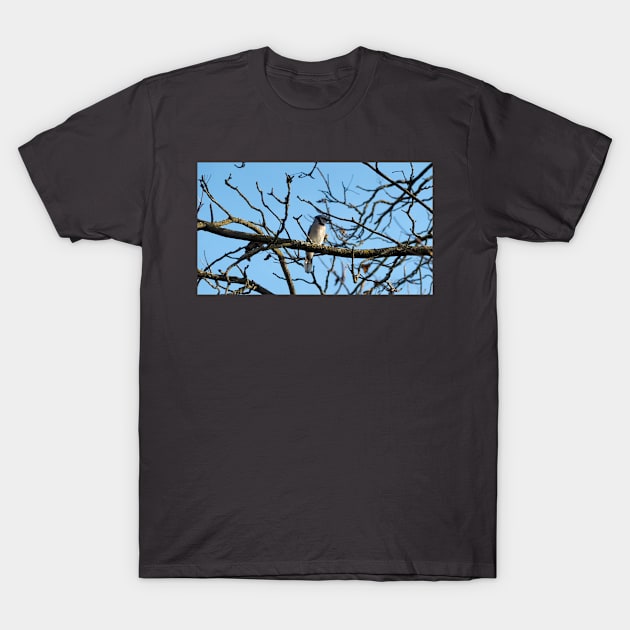 A Blue Jay Perched On a Tree Branch T-Shirt by BackyardBirder